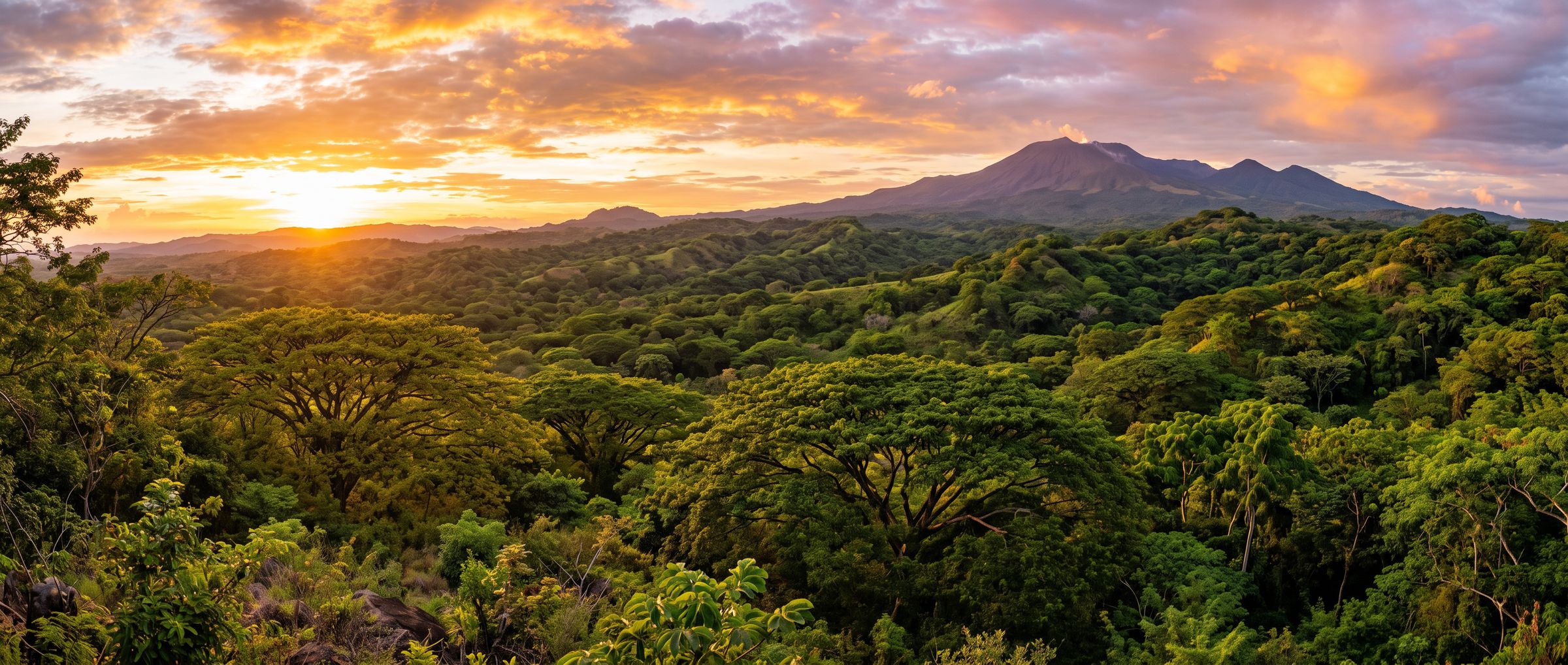 Bosque seco tropical de Guanacaste al atardecer con un volcán en el horizonte